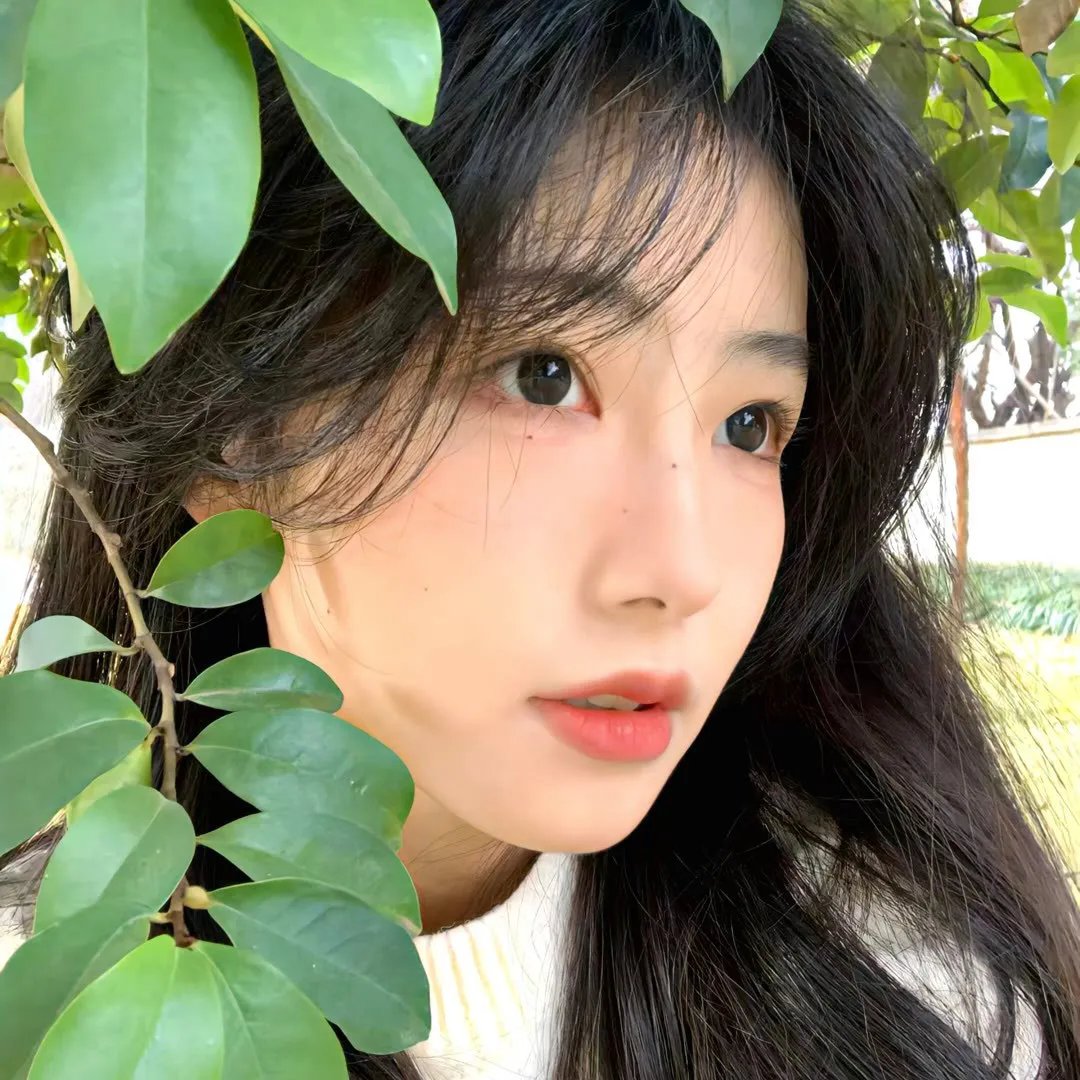 帅气的噩梦